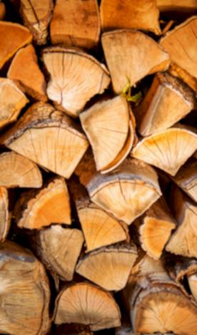 Yakacak Kuru Çam Odunu Kategori Görseli